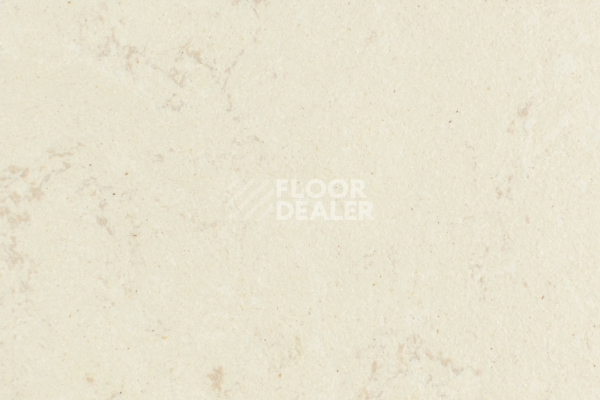 Линолеум Forbo Marmoleum Solid Concrete 3711-371135 cloudy sand фото 1 | FLOORDEALER