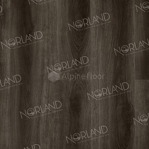 Norland Neowood 8мм  Rondane 2001-5