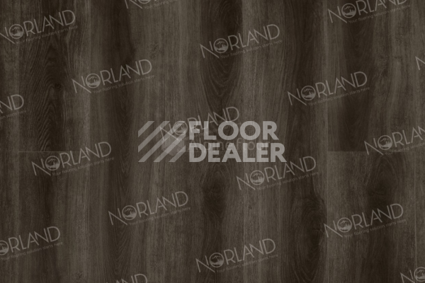 Виниловая плитка ПВХ Norland Neowood 8мм Rondane 2001-5 фото 1 | FLOORDEALER