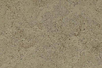 Пробковое покрытие Eco Cork замковое MADEIRA GREY фото 1 | FLOORDEALER