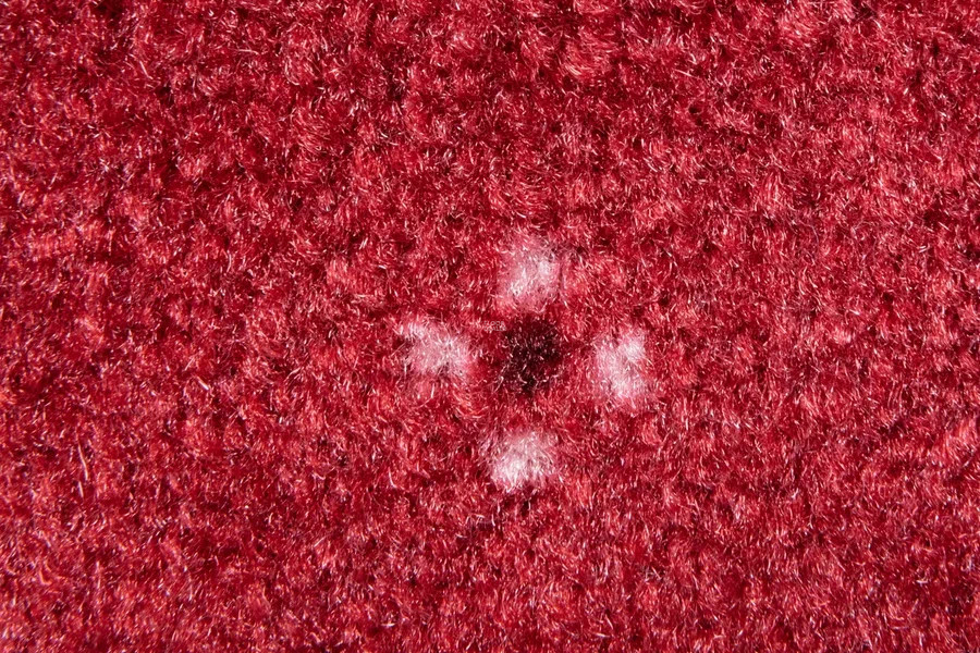 AW Animo AW Animo 11 фото 3 | FLOORDEALER