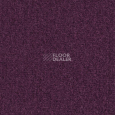 Ковролин Balsan Sydney DD 880 фото 1 | FLOORDEALER
