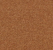 Ковровая плитка AW Maxima 85 фото 1 | FLOORDEALER