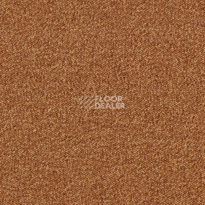 Ковровая плитка AW Maxima 85 фото 1 | FLOORDEALER