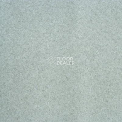 Линолеум Lg Calmpasso CP 93406 фото 1 | FLOORDEALER