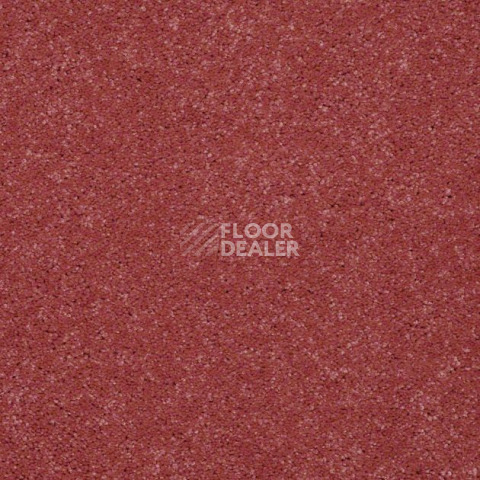 Ковролин Shaw Design Texture Platinum 820 фото 1 | FLOORDEALER