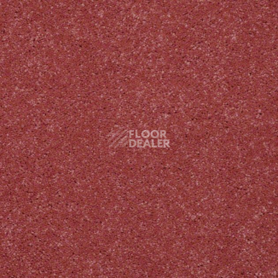 Ковролин Shaw Design Texture Platinum 820 фото 1 | FLOORDEALER