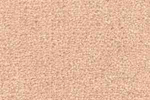 Ковролин Radici Montecarlo 40 фото  | FLOORDEALER