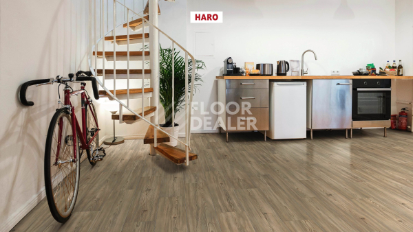 Ламинат Haro Tritty 90 Пиния Флоренция 544687 фото 4 | FLOORDEALER