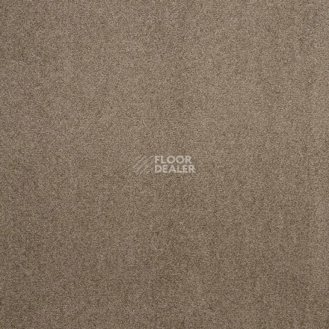 Condor Stockholm 492 фото 12 | FLOORDEALER