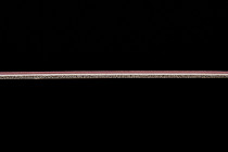 Forbo Emerald Standart 72412 фото 4 | FLOORDEALER