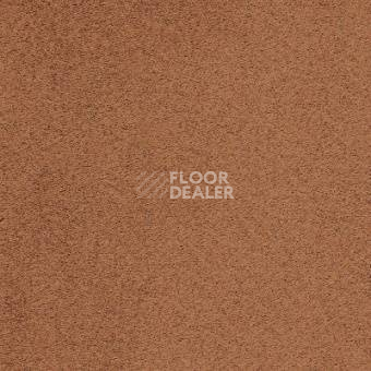 Ковролин Balta ITC Rossini 154 фото 1 | FLOORDEALER