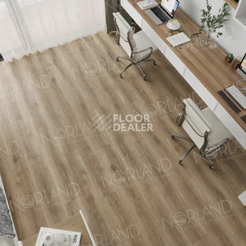 Norland Neowood 8мм Templet 2001-8 фото 2 | FLOORDEALER