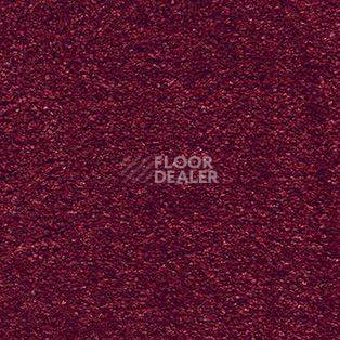 Ковролин AW Cosy 10 фото 1 | FLOORDEALER