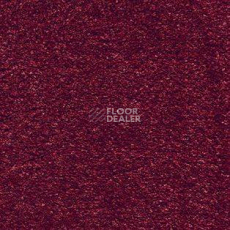 Ковролин AW Cosy 10 фото 1 | FLOORDEALER