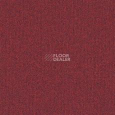 Ковровая плитка Interface Heuga 727 New 2022 4122142 Amaryllis sd фото 1 | FLOORDEALER