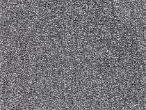 Balta Splendid Saxony Splendid Saxony 0975 фото 1 | FLOORDEALER