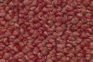 Ковролин Dura Loop 430 фото  | FLOORDEALER