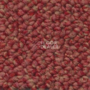 Ковролин Dura Loop 430 фото 1 | FLOORDEALER