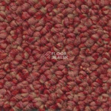 Ковролин Dura Loop 430 фото 1 | FLOORDEALER