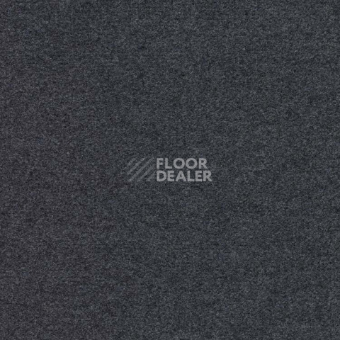 Ковролин Finett Feinwerk 803506 фото 1 | FLOORDEALER