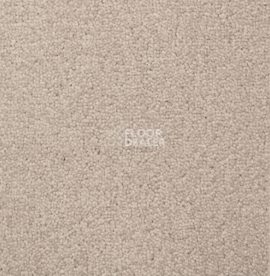 Ковролин Betap Transmit 140 фото 1 | FLOORDEALER