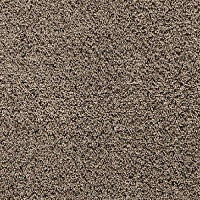 Ковролин Balta ITC Cashmere Velvet 41 фото 1 | FLOORDEALER