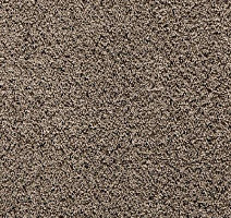 Ковролин Balta ITC Cashmere Velvet 41 фото 1 | FLOORDEALER