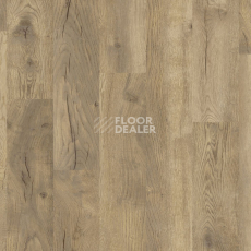 Kronotex Exquisit Plus d4764 Дуб Натуральный Петерсон фото 5 | FLOORDEALER