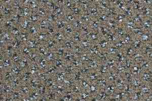 Ковролин Balsan Signature 780 фото  | FLOORDEALER