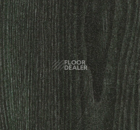 Кварцвиниловые полы Forbo allura flex" material 63665FL1 forest ash (75x15 cm) фото 1 | FLOORDEALER