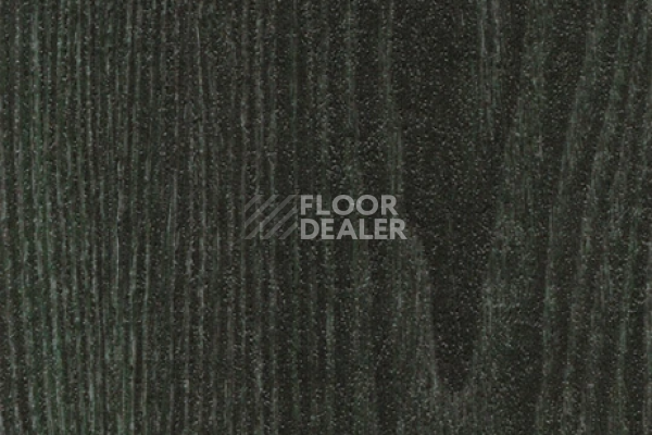 Виниловая плитка ПВХ FORBO allura flex" material 63665FL1 forest ash (75x15 cm) фото 1 | FLOORDEALER