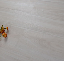 Evofloor Optima Click 4.2мм Дуб Айвори фото 7 | FLOORDEALER