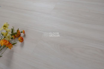 Evofloor Optima Click 4.2мм Дуб Айвори фото 7 | FLOORDEALER