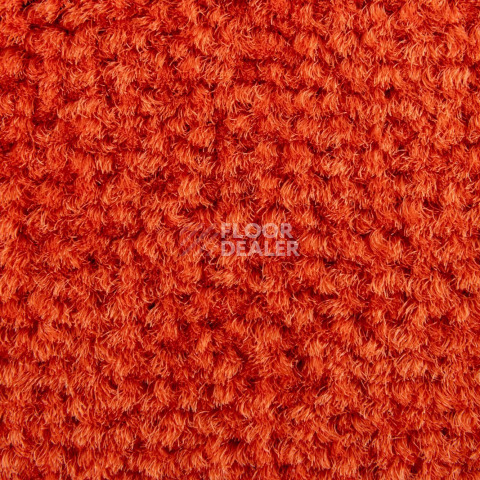 Balsan Les Best 470 фото 2 | FLOORDEALER