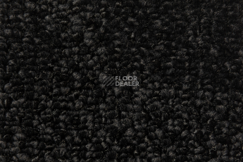 Balsan Take a Walk Rolls 990 фото 2 | FLOORDEALER