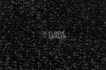 Balsan Take a Walk Rolls 990 фото 2 | FLOORDEALER