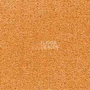 Ковролин Radici Montecarlo 97 фото 1 | FLOORDEALER