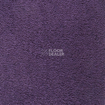 Ковролин Balta Wild Luxury Winnie 87 фото 1 | FLOORDEALER