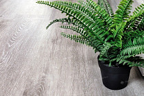 Alpine Floor Classic Ясень Серый ECO 134-5 фото 3 | FLOORDEALER