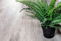 Alpine Floor Classic Ясень Серый ECO 134-5 фото 3 | FLOORDEALER