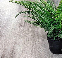 Alpine Floor Classic Ясень Серый ECO 134-5 фото 3 | FLOORDEALER