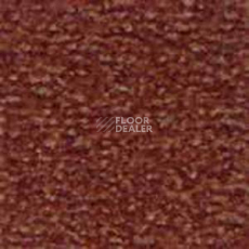 Ковролин Infloor Corvette 155 фото 1 | FLOORDEALER