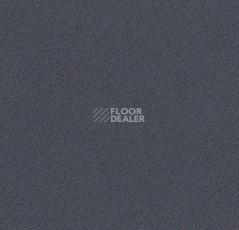 Линолеум Forbo Marmoleum Bulletin Board 2204 poppy seed фото 1 | FLOORDEALER