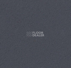 Линолеум Forbo Marmoleum Bulletin Board 2204 poppy seed фото 1 | FLOORDEALER