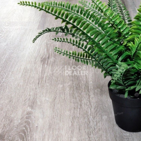 Alpine Floor Classic Ясень Серый ECO 134-5 фото 3 | FLOORDEALER