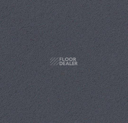 Линолеум Forbo Marmoleum Bulletin Board 2204 poppy seed фото 1 | FLOORDEALER