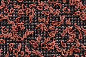 Ковролин Carpet Concept Eco Iqu S 8275 фото  | FLOORDEALER