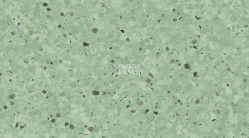 Кварцвиниловые полы  0339_Apple фото 1 | FLOORDEALER