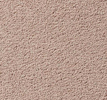 Ковролин Vorwerk Passion 1003 Vorwerk 1m03 фото 1 | FLOORDEALER